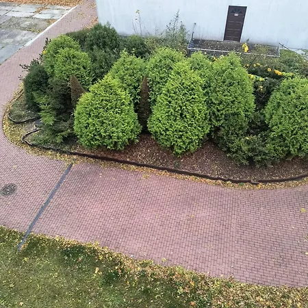 Azyl W Tarsis Eko Park *